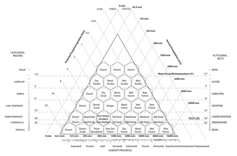 Holdridge life zones classification system. | Download Scientific Diagram