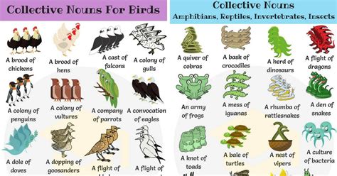 854shares Learn useful list of Collective Nouns For Animals with ...