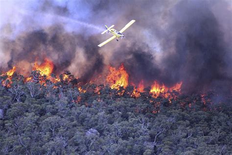 Australian wildfires destroy homes in New South Wales | Toronto Star