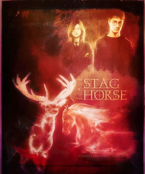 The Patronus Series: Harry & Ginny Harry And Ginny, Ron And Hermione, Harry James Potter, Ginny ...