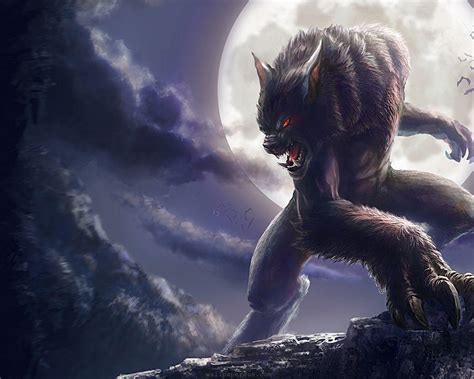 Vampire vs Werewolf Wallpapers - Top Free Vampire vs Werewolf Backgrounds - WallpaperAccess