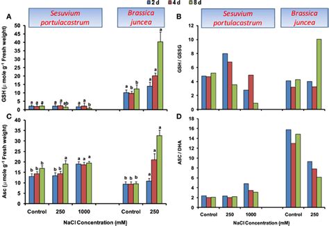 Frontiers | Salt stress reveals differential antioxidant and energetics responses in glycophyte ...