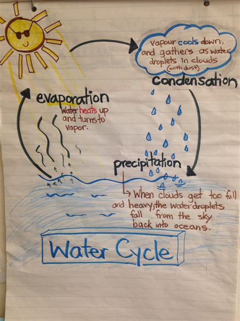 Chart Of Water Cycle