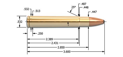 The Ballistician: .416 Remington Magnum