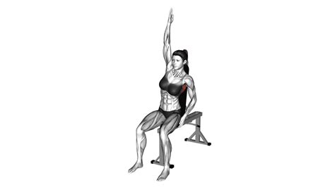 Seated Lower Back Stretch (Female): Video Guide & Tips