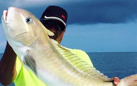 Miami Golden Tilefish Fishing - Travelfish