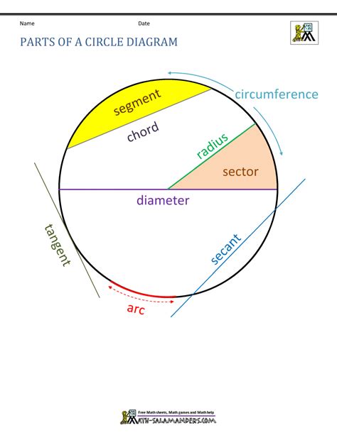 Parts of a Circle Worksheet