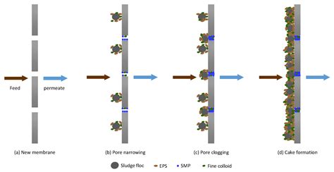 Membranes | Free Full-Text | Membrane Bioreactor (MBR) Technology for Wastewater Treatment and ...