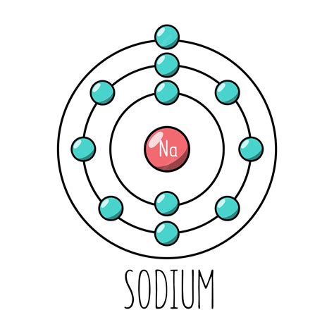 Premium Vector | Sodium atom Bohr model