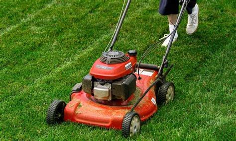 5 Best Mulching Lawn Mowers | 2023 Reviews & Buying Guide