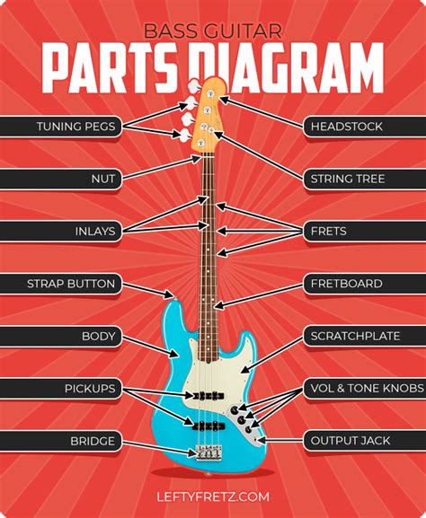 Parts Of The Bass Guitar (Anatomy Explained With Diagrams)