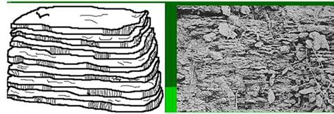 Edafologia OT - Monografias.com