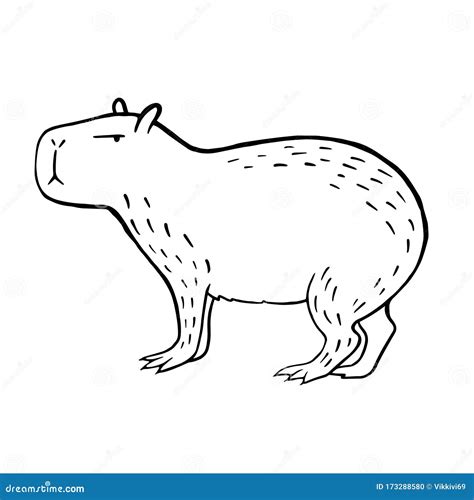 Linear Capybara Icon From Animals Outline Collection. Thin Line Capybara Icon Isolated On White ...