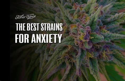 Best Strains for Anxiety - Stoner Things