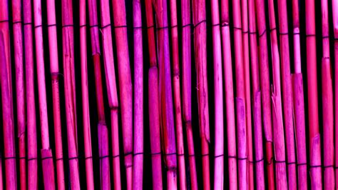 Purple Bamboo Wood Background Free Stock Photo - Public Domain Pictures