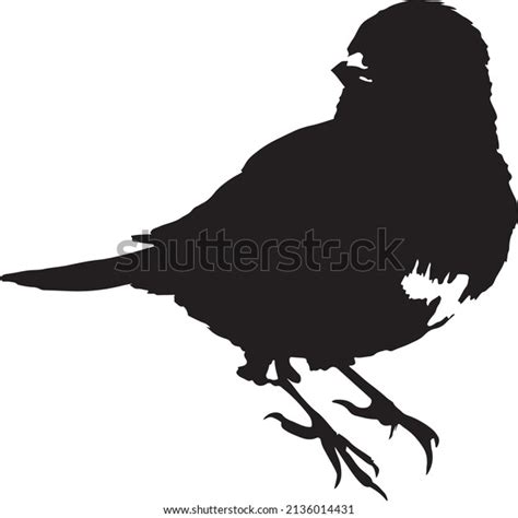 Bird Silhouette Vector Black White Stock Vector (Royalty Free ...