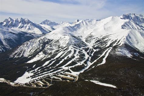 Signature Gallery | Ski Marmot Basin, Jasper National Park