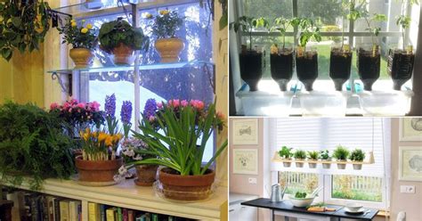 16 DIY Indoor Window Garden Ideas For Urban Gardeners | Balcony Garden Web