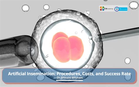 Artificial Insemination: Procedures, Costs, and Success Rates - Eva Hospital