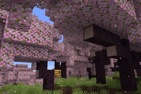 Minecraft’s next patch includes a cherry blossom biome and archeology - Polygon