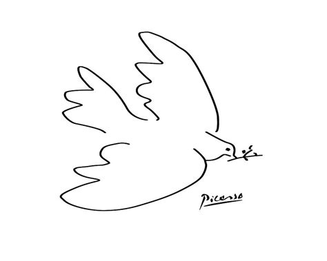 Picasso - Dove Of Peace Drawing by Terry Bill - Pixels