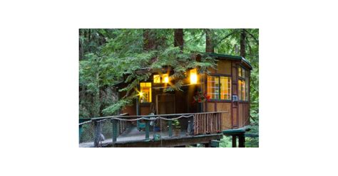 Redwood Treehouse Cabin | Bizarre and Beautiful Airbnb Rentals That Won't Break the Bank ...