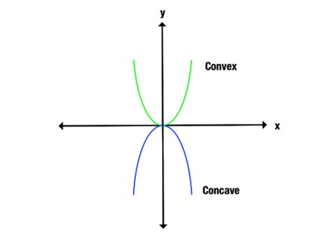 Concave vs. convex: What’s the difference? – The Word Counter