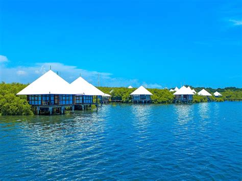 Tempat Rekreasi Hutan Mangrove | Berita Rekreasi Luar Ruangan - Mn ...