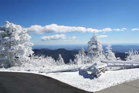 Mount Mitchell State Park | State parks, Natural landmarks, Nature