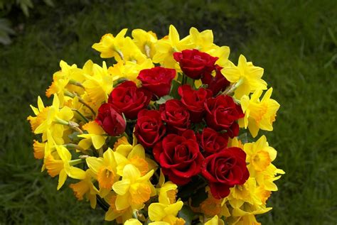 Found on Bing from truewallpapershub.blogspot.com | Rose flower pictures, Flower delivery ...