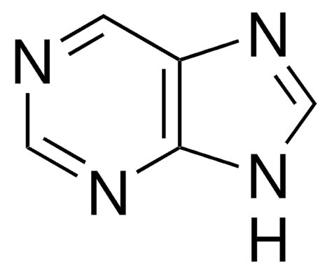 Purine Structure