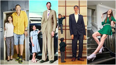 A history of record-breaking giants 100 years after the tallest man ...