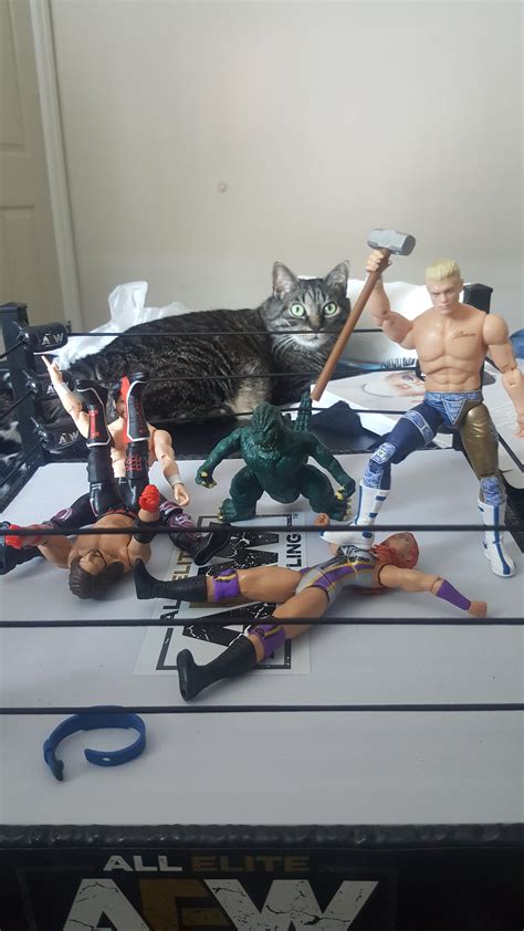 Update: Finally found some AEW figures for my AEW ring! : r/AEWOfficial