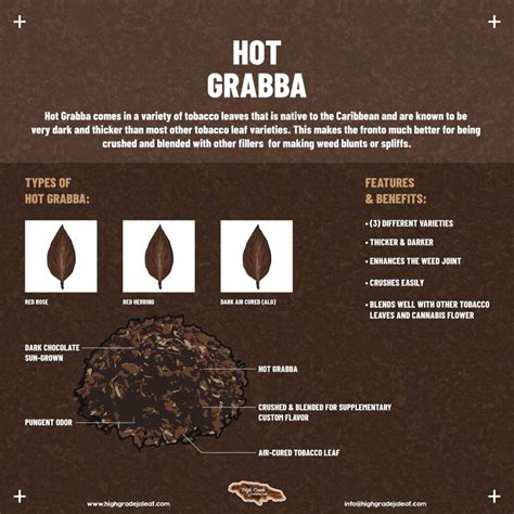 Hot Grabba | Blog For All Things Grabba Leaf