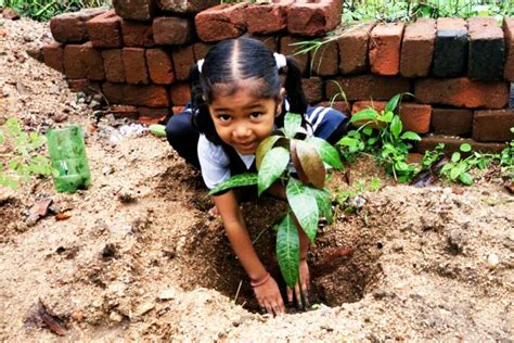 Committed to Planting Trees – Amrita SeRVe