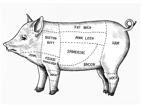 Pork Shoulder Demystified: Boston Butt Versus Picnic Shoulder