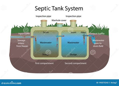 Septic Tank System. Principle of Operation. Stock Vector - Illustration of icon, operation ...