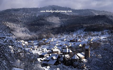 What to do in Winter in the Black Forest