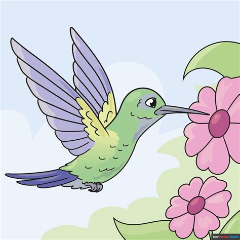 Hummingbird In Flight Drawing