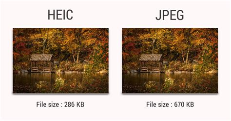 HEIC vs JPEG: What's the difference and which is better? - NoloWiz