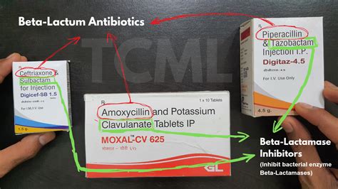 Beta Lactam Antibiotics - TCML - The Charsi of Medical Literature