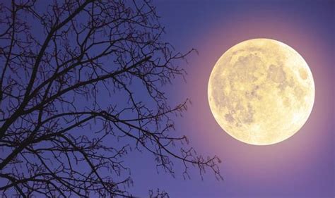 Supermoon tonight: Is it a Supermoon tonight - When was the last Super ...