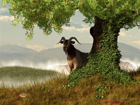 Hide and Goat Seek by deskridge on DeviantArt