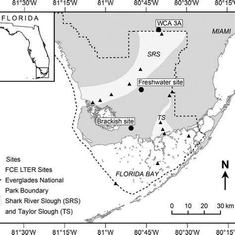 Location of the freshwater and brackish marshes within Everglades... | Download Scientific Diagram