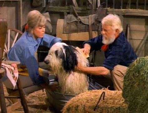 Doris Day show season 1 and 2 took place on a ranch | Dory, She is ...