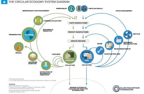 Circular economy examples - how IKEA, Burger King, Adidas and more are ...