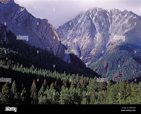 Absaroka county hi-res stock photography and images - Alamy