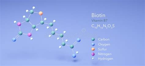 Biotin, Vitamin B7, Molecular Structures, 3d Rendering, Structural Chemical Formula and Atoms ...