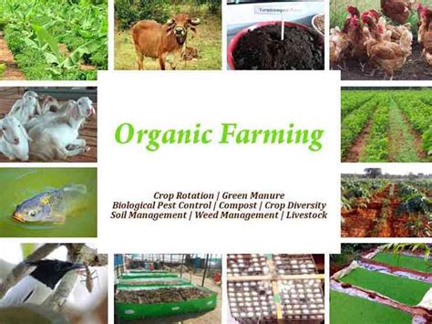 Organic Farming in India: Organic Farming Methods and Certification