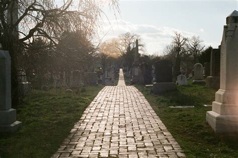 Day of the Dog at Congressional Cemetery, Sat. Aug. 30th - PoPville